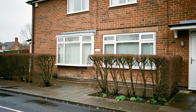 White uPVC replacement windows on a red brick semi-detached house behind a bare winter hedge, damp pavement on an overcast day.